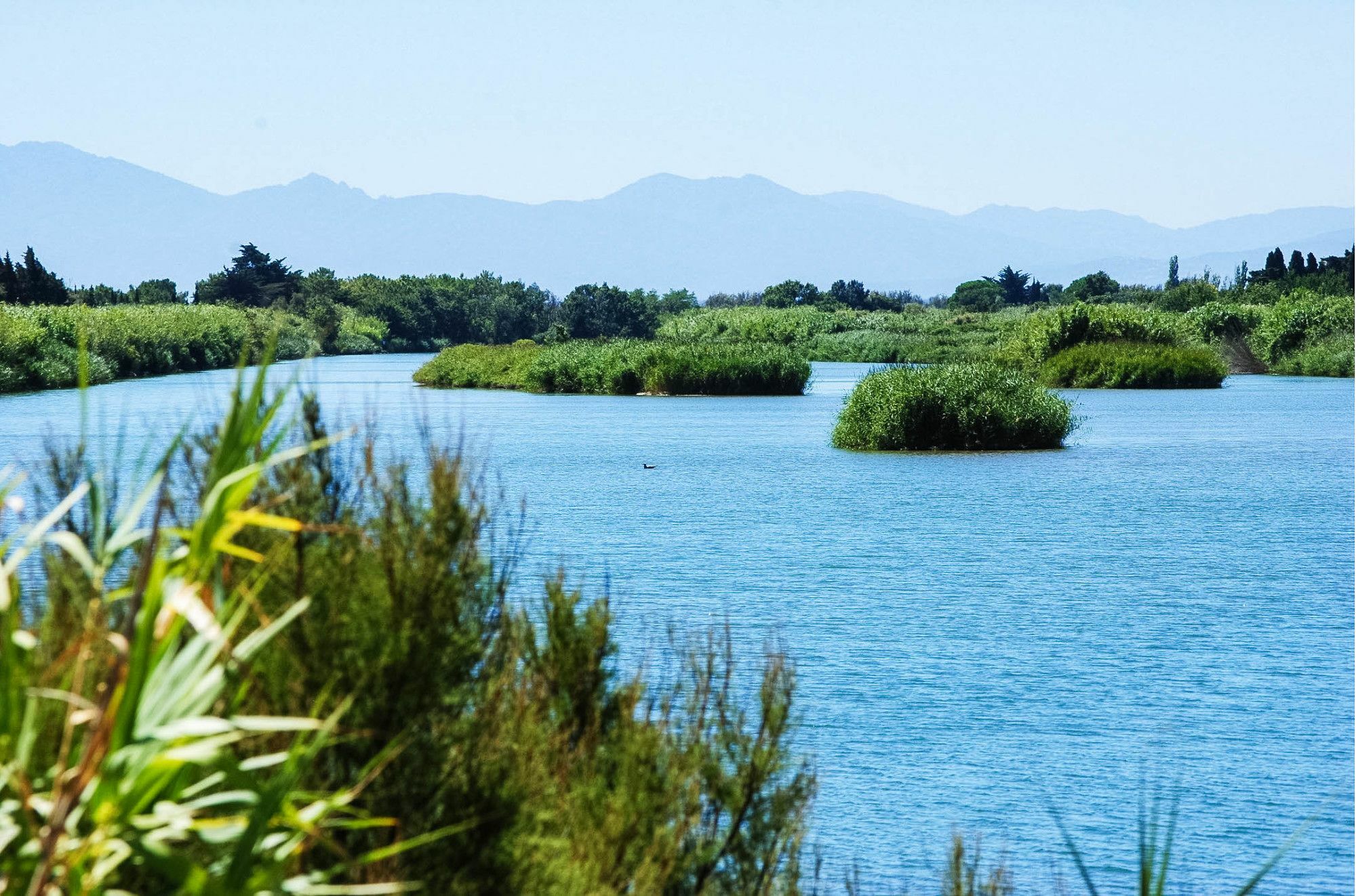 Ibis Styles Perpignan Canet En Roussillon Exteriér fotografie